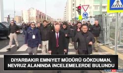 Diyarbakır Emniyet Müdürü Gökduman, Nevruz Alanında İncelemelerde Bulundu