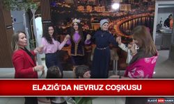 Elazığ’da Nevruz Coşkusu