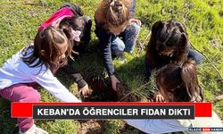 Keban'da Öğrenciler Fidan Dikti
