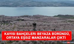 Kayısı Bahçeleri Beyaza Büründü, Ortaya Eşsiz Manzaralar Çıktı