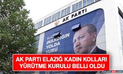 AK Parti Elazığ Kadın Kolları Yürütme Kurulu Belli Oldu