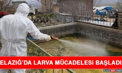 Elazığ’da Larva Mücadelesi Başladı