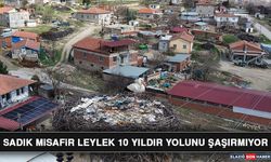 Sadık Misafir Leylek 10 Yıldır Yolunu Şaşırmıyor