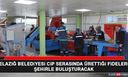 Elazığ Belediyesi Cip Serasında Ürettiği Fideleri Şehirle Buluşturacak