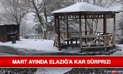 Mart Ayında Elazığ'a Kar Sürprizi