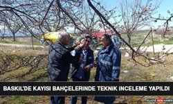 Baskil'de Kayısı Bahçelerinde Teknik İnceleme Yapıldı