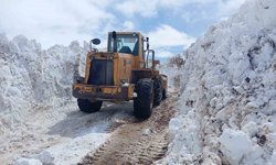 Bingöl'de metrelerce karla mücadele