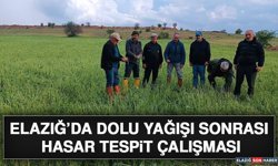 Elazığ’da Dolu Yağışı Sonrası Hasar Tespit Çalışması
