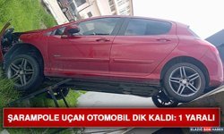 Şarampole Uçan Otomobil Dik Kaldı: 1 Yaralı