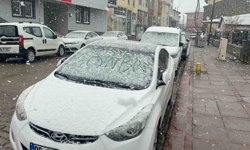 Karlıova'da nisan karı etkili oldu