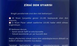 Meteoroloji'den Bingöl için zirai don uyarısı