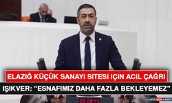 Elazığ Küçük Sanayi Sitesi İçin Acil Çağrı: Işıkver, “Esnafımız Daha Fazla Bekleyemez”