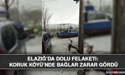 Elazığ’da Dolu Felaketi: Koruk Köyü’nde Bağlar Zarar Gördü
