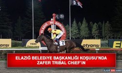 Elazığ Belediye Başkanlığı Koşusu’nda Zafer Tribal Chief’in