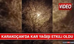 Karakoçan’da Kar Yağışı Etkili Oldu