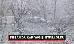 Keban'da Kar Yağışı Etkili Oldu