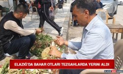 Elazığ'da Bahar Otları Tezgahlarda Yerini Aldı