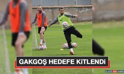 Gakgoş Hedefe Kitlendi
