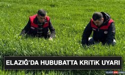 Elazığ’da Hububatta Kritik Uyarı