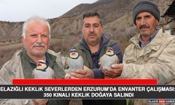 Elazığlı Keklik Severlerden Erzurum’da Envanter Çalışması: 350 Kınalı Keklik Doğaya Salındı