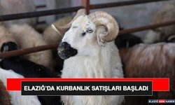 Elazığ’da Kurbanlık Satışları Başladı