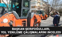 Başkan Şerifoğulları, Yol Yenileme Çalışmalarını İnceledi