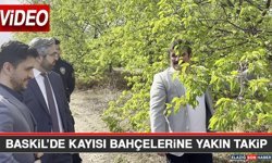 Baskil’de Kayısı Bahçelerine Yakın Takip