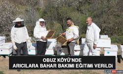 Obuz Köyü’nde Arıcılara Bahar Bakımı Eğitimi Verildi