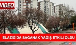Elazığ’da Sağanak Yağış Etkili Oldu