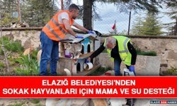 Elazığ Belediyesi'nden Sokak Hayvanları İçin Mama ve Su Desteği