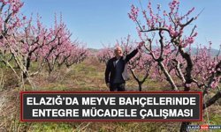Elazığ’da Meyve Bahçelerinde Entegre Mücadele Çalışması