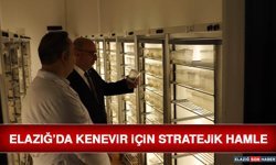 Elazığ’da Kenevir İçin Stratejik Hamle