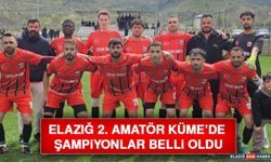 Elazığ 2. Amatör Küme’de Şampiyonlar Belli Oldu