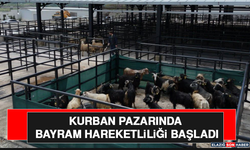 Kurban Pazarında Bayram Hareketliliği Başladı