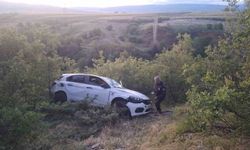 Bingöl'de otomobil şarampole yuvarlandı