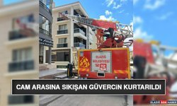 Cam Arasına Sıkışan Güvercin Kurtarıldı