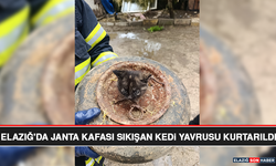 Elazığ'da Janta Kafası Sıkışan Kedi Yavrusu Kurtarıldı