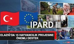 Elazığ'da 15 Hayvancılık Projesine Önemli Destek