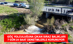 Göç Yolculuğuna Çıkan Siraz Balıkları 7 Gün 24 Saat Denetimlerle Korunuyor
