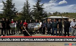 Elazığlı Boks Sporcularından Fidan Dikim Etkinliği