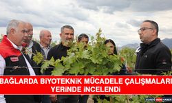 Bağlarda Biyoteknik Mücadele Çalışmaları Yerinde İncelendi