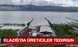 Elazığ'da Üreticiler Tedirgin