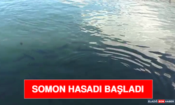 Somon Hasadı Başladı