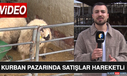 Kurban Pazarında Satışlar Hareketli