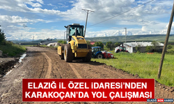 Elazığ İl Özel İdaresi’nden Karakoçan’da Yol Çalışması