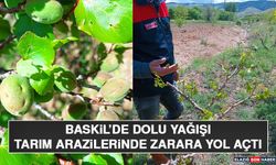 Baskil’de Dolu Yağışı Tarım Arazilerinde Zarara Yol Açtı