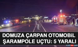 Domuza Çarpan Otomobil Şarampole Uçtu: 5 Yaralı