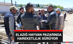 Elazığ Hayvan Pazarında Hareketlilik Sürüyor