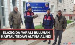 Elazığ'da Yaralı Bulunan Kartal Tedavi Altına Alındı