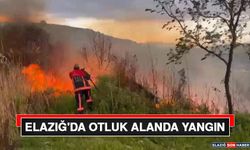 Elazığ'da Otluk Alanda Yangın